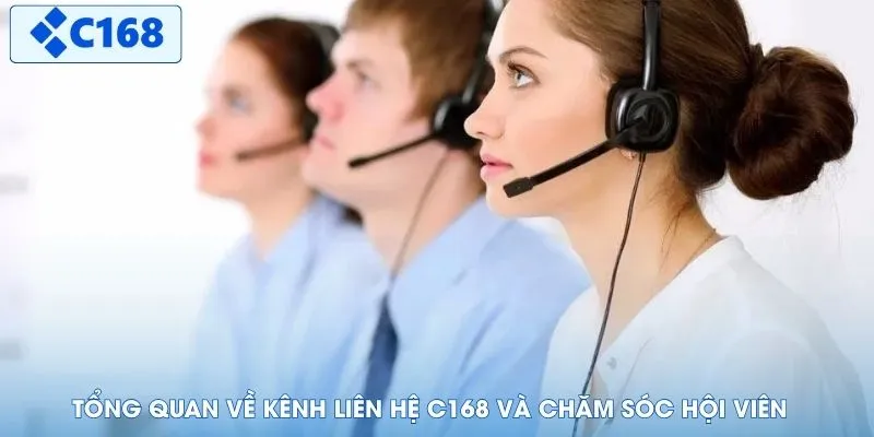 Tổng quan về kênh liên hệ C168 và chăm sóc hội viên